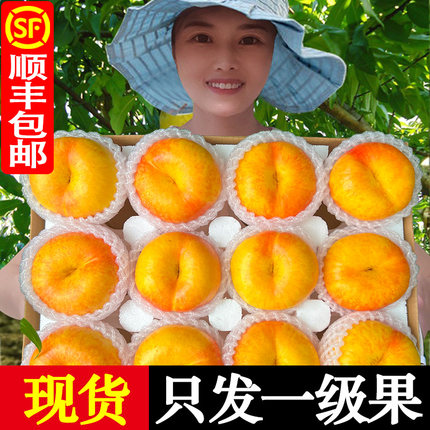 彩虹蟠桃黄油蟠桃新鲜水果黄金油蟠桃山东蒙阴当季时令整箱礼盒