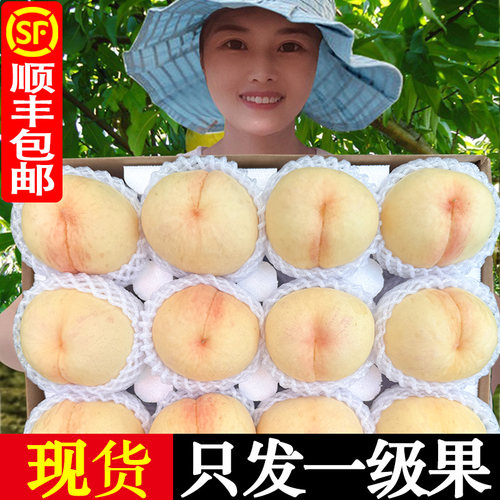 大白桃！嘎嘣脆！纯甜！顺丰包邮
