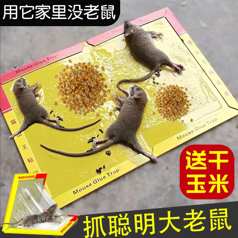 春禾加大加厚粘鼠板送干玉米