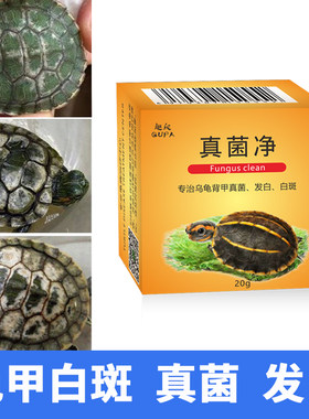 乌龟真菌净背甲护理真菌感染巴西草龟背甲发白水碱白斑腐皮烂甲