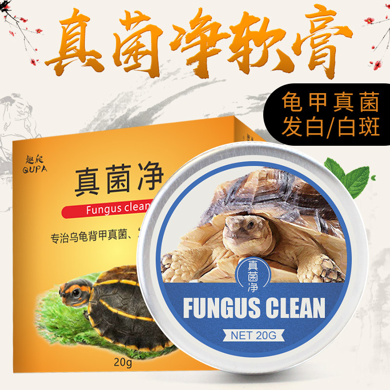 乌龟药水真菌净治疗龟背甲壳真菌发白斑不光滑
