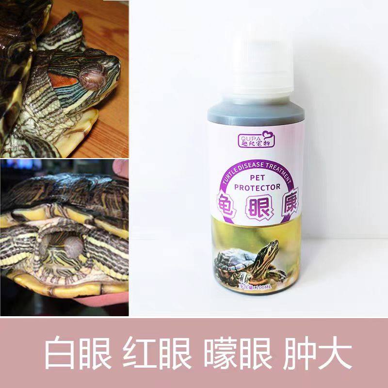 乌龟白眼病红肿发炎巴西龟眼睛睁不开蒙眼白膜草龟眼药水眼睛护理
