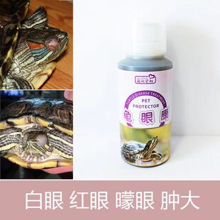 乌龟白眼病红肿眼睛睁不开蒙眼白膜治疗巴西龟草龟眼药水眼睛护理