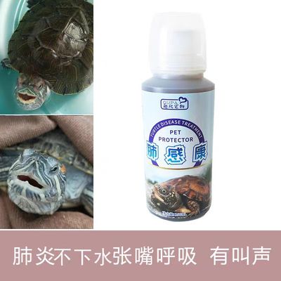 乌龟感冒肺炎抬头张口呼吸发出叫声浮水侧浮拒水嘴角粘液白沫非药