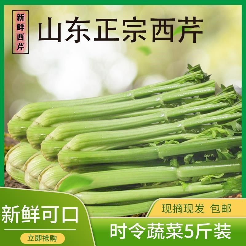 顺丰包邮西芹新鲜大颗半叶芹菜榨汁5斤农家自种嫩芯青菜香芹蔬菜