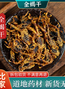 蝎子中药材 全蝎清水无硫全蝎 十成干全虫整条泡酒 100克包邮
