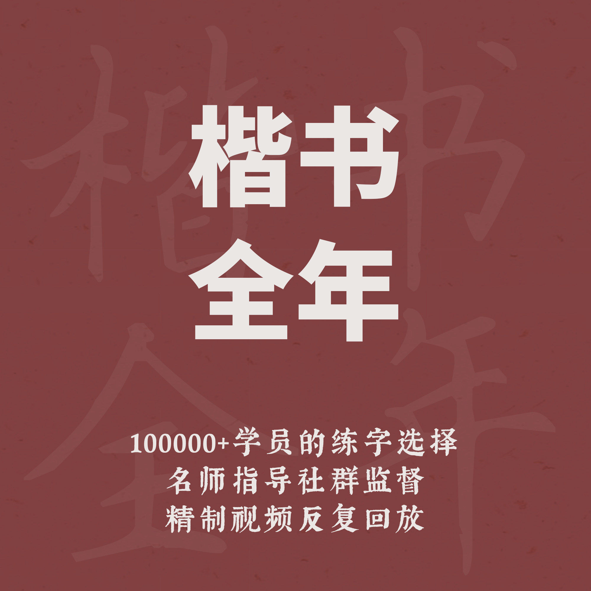 仇康|一起练字硬笔书法楷书全年成人初学线上练字课程