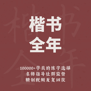 仇康 一起练字硬笔书法楷书全年成人初学线上练字课程