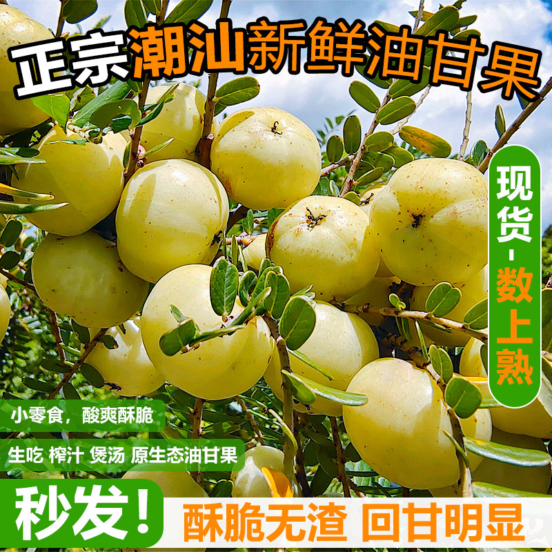 正宗潮汕特产新鲜现摘柿饼油甘果原生态酸甜可口酥脆当季孕妇水果