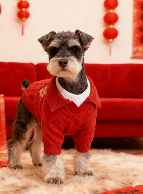 新年红色毛衣狗狗服装保暖秋冬防寒休闲印花雪纳瑞比熊宠物衣服