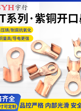 OT开口鼻国标紫铜线耳线卡10A-600A电瓶电动车电线接线端子