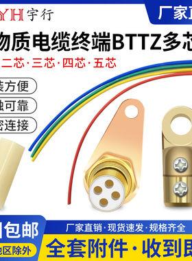 BTTZ矿物质电缆头终端头BTTVZ线鼻子热缩管防潮密封胶整套铜套
