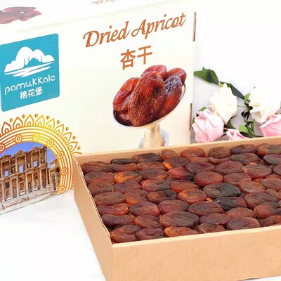 Dried Turkish Apricot 500g 土耳其进口无核杏脯 即食无添加杏干