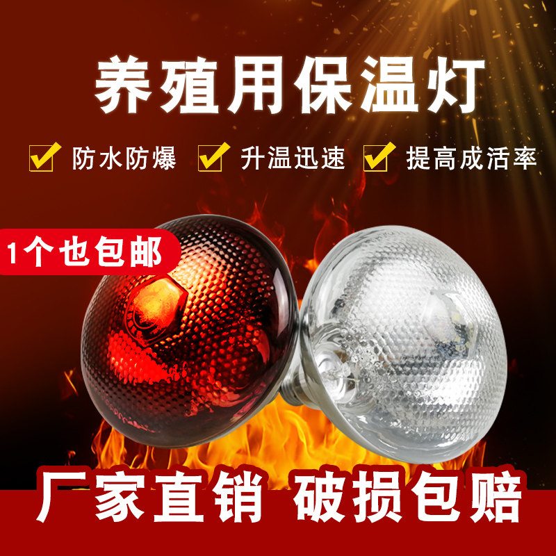 猪升源畜牧养殖保温灯泡仔猪牛羊圈舍小鸡红育雏兽用外线加热取暖,畜牧/养殖物资,畜牧/养殖器械,淘宝优惠券,粉丝福利购,淘宝优惠卷