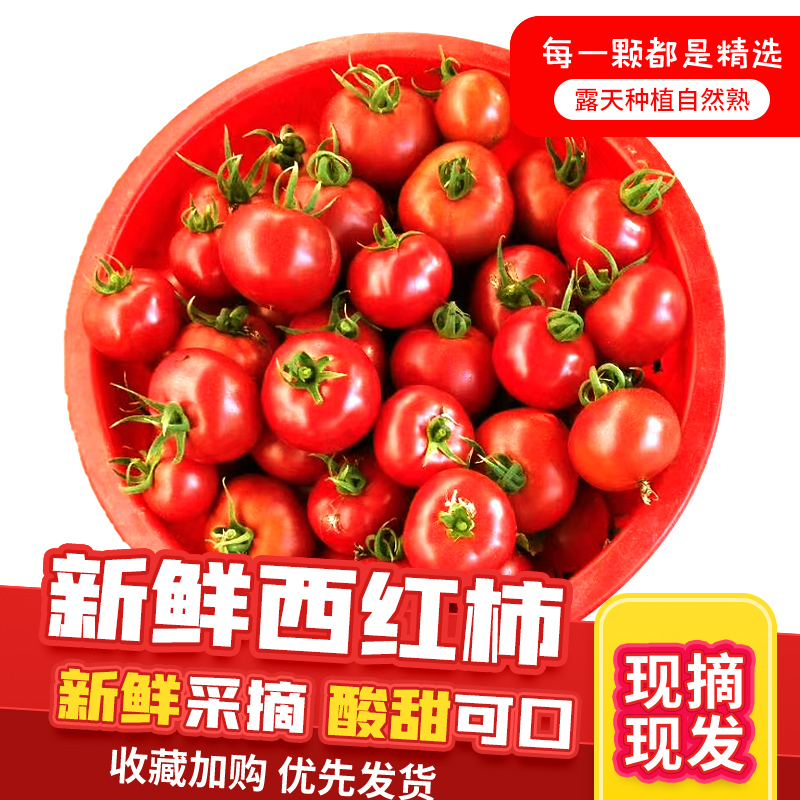 北京密云原味一号采摘园现摘