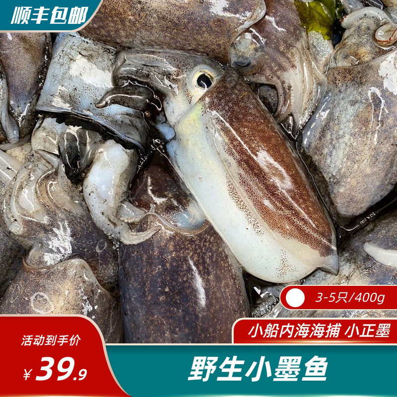 东海野生小墨鱼 鲜活新鲜海鲜 乌贼目鱼 墨斗鱼海鲜鱼 400g,水产肉类/新鲜蔬果/熟食,冷冻墨鱼/冷冻墨鱼仔,淘宝优惠券,粉丝福利购,淘宝优惠卷