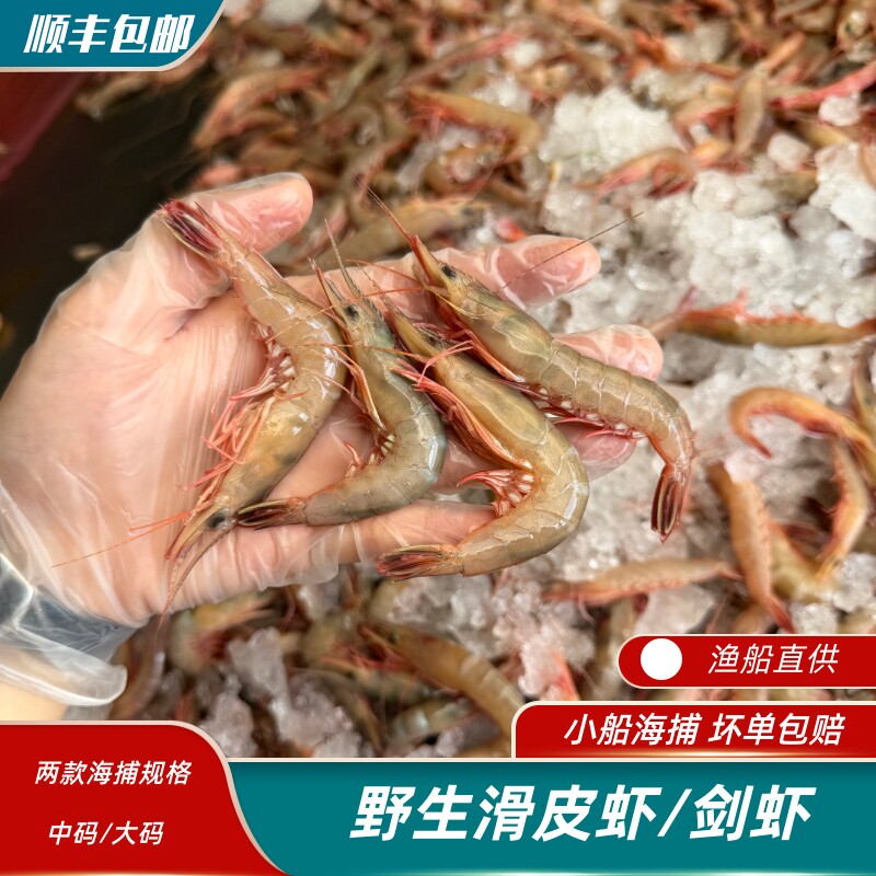 2026年开海东海野生滑皮虾  青壳虾 硬壳虾 剑虾 鲜冻寄