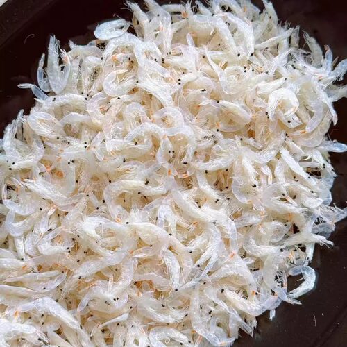 水晶小虾皮 可即食海岛小毛虾儿童补钙 500g（单拍一份顺丰包邮）