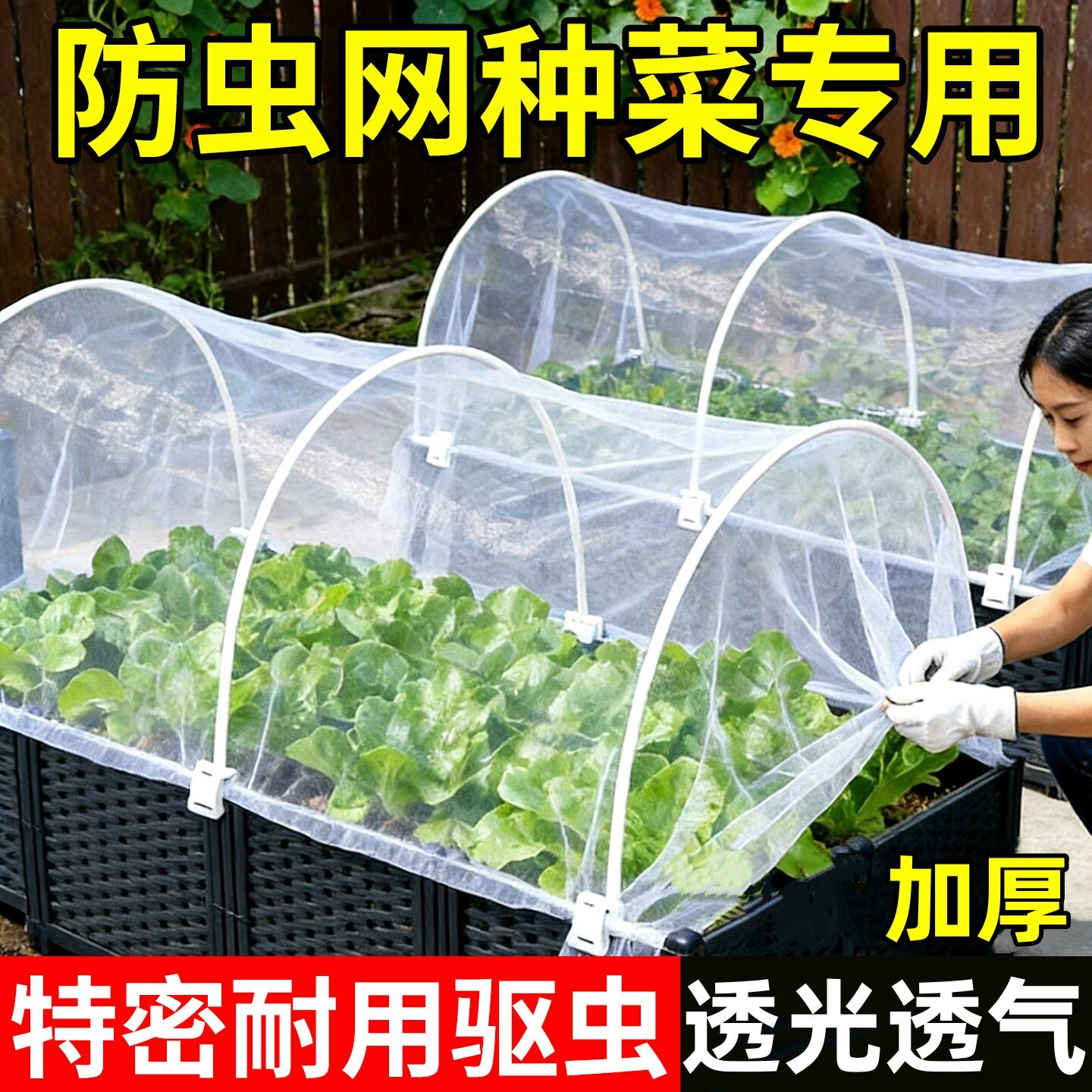 种菜防虫网拱棚支架菜园专用加厚纱网尼龙网大棚农用蔬菜种植防鸟