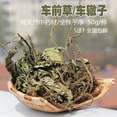 七草园 车前草 晒干车前草 车前菜 车辙子中药材 草药 5送1 包邮