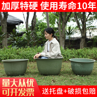 加厚烤漆胶龙缸花盆 盆景大花盆大码 塑料花盆特大庭院种植现货 包邮