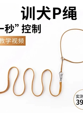 比赛P绳宠物牵引绳狗绳子P链训犬狗链金毛萨摩边牧大中型小犬项圈