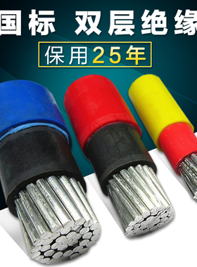 十平方铝芯电线户外BLVV10 16 25 35 70 95铝线电线 国标家用架空