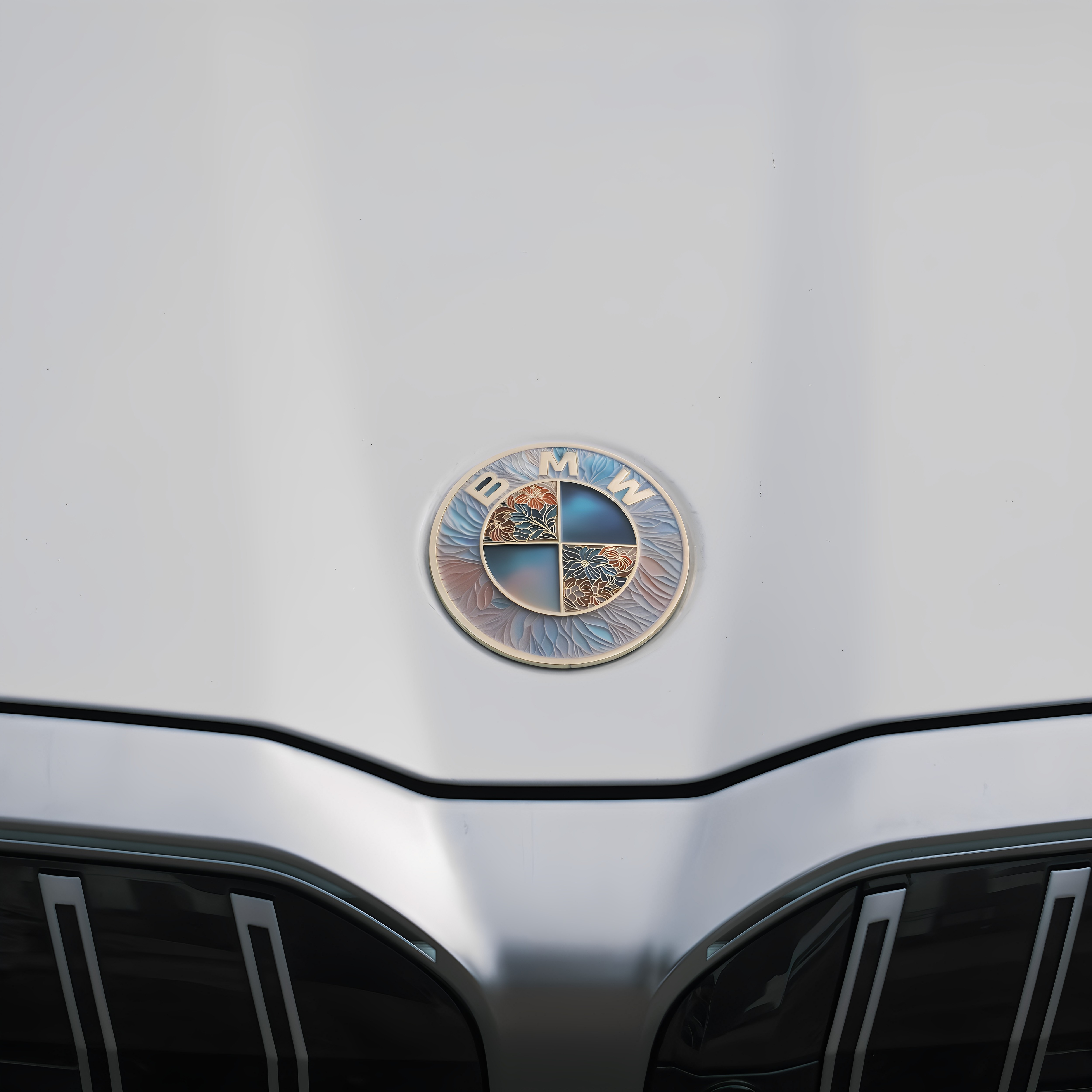 宝马BMW车标珐琅彩前标7系5系3系1系X1X3X5X6前后标引擎盖车标志