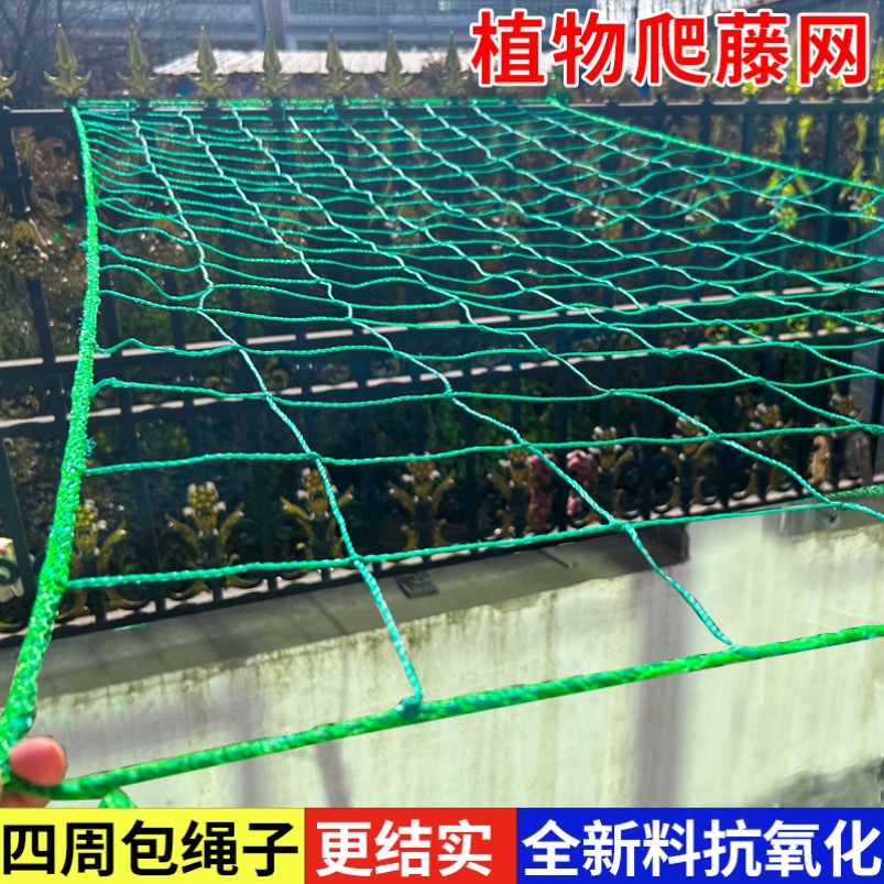 瓜棚网豆角黄瓜苦瓜丝瓜吊瓜百香果瓜网植物爬藤网种植网攀爬农用