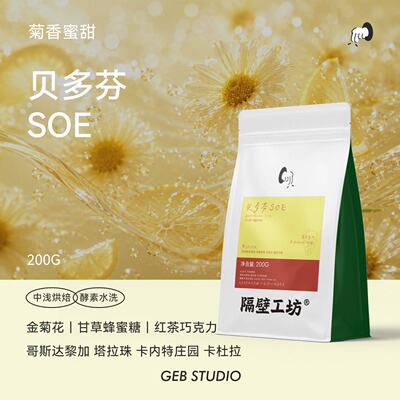 隔壁工坊贝多芬SOE咖啡豆200g