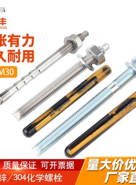 304不锈钢化学膨胀螺栓化学锚栓药剂倒锥化学螺丝加长M8M10M12M30