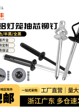 灯笼抽芯铆钉全铝大帽沿拉铆钉三爪黑色汽车用酒盒用拉钉铆钉拉花