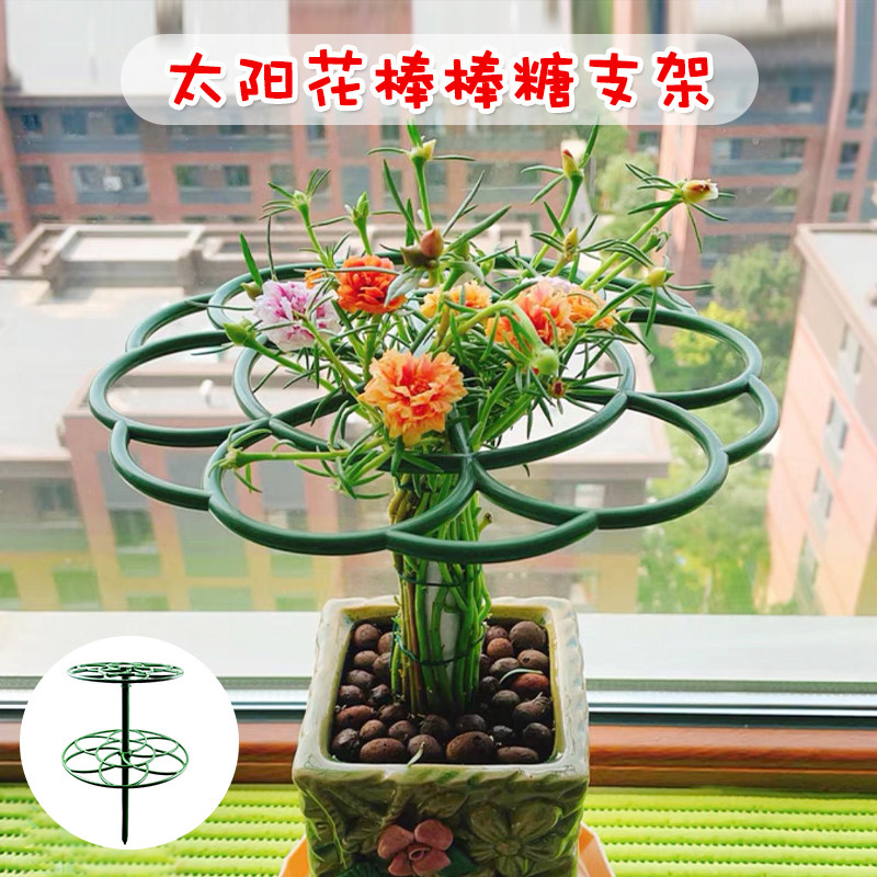 太阳花防倒伏爬藤固定支架盆栽植物单双层可拼接折叠棒棒糖造型架