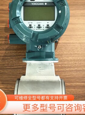 议价横河电磁计AXG080，DN80口径，绿色外壳，带L