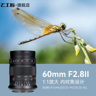 七工匠60mmF2.8二代1倍超微距昆虫花卉适用索尼富士Z50佳能RF M43
