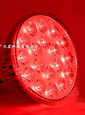 大排灯LED美容仪红光灯黄光蓝光