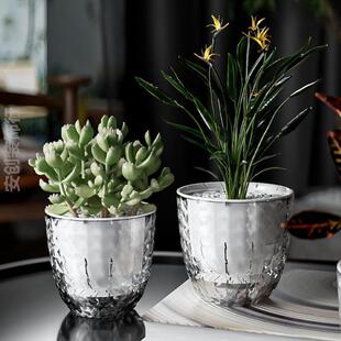 郁金香水培花盆专用塑料培植吊兰加厚水培台盆明水桌面高级简约树