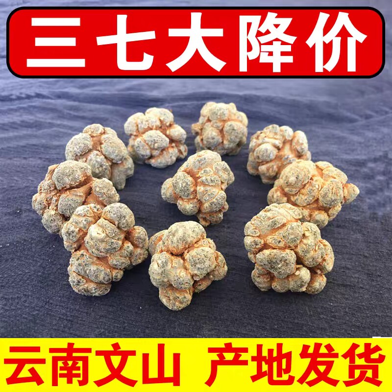 三七头云南文山正品500g春田七无剪口滑头子30-35头可代磨三七粉