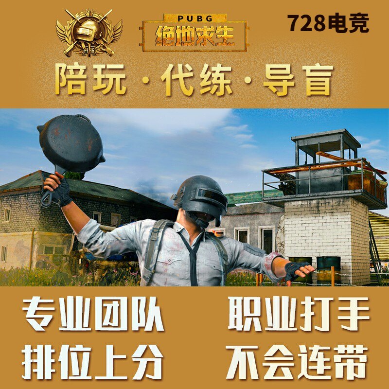 绝地求生陪玩pubg陪玩服务代练大神导盲犬排位上分kd奖牌女陪代肝