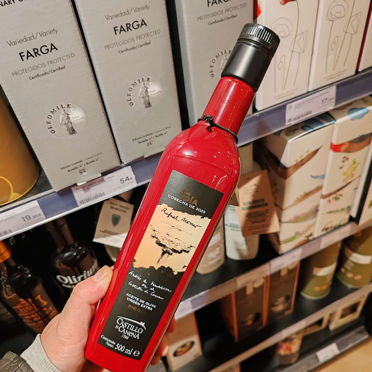 25-26采摘季橄榄成熟第一天采摘