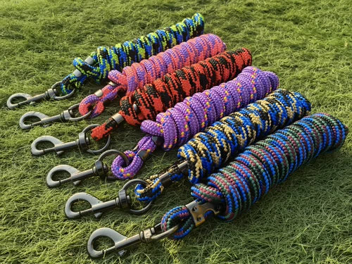 Лошадь поставляет ведущих лошадей лошадей, чтобы держать головы и потянуть поводья веревочных лошадей