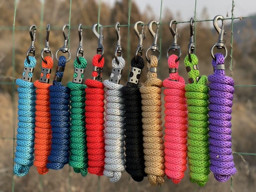 Лошадь поставляет ведущих лошадей лошадей, чтобы держать головы и потянуть поводья веревочных лошадей