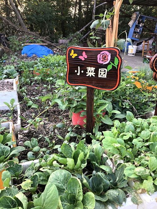 标识牌雕刻防腐木菜园牌