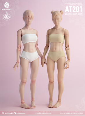 AT201女素体worldbox标准版