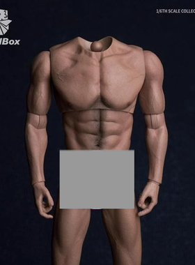 WorldBox 1/6比例 兵人 AT017 耐操男素体 无脖宽肩版 现货