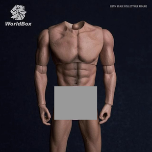 WorldBox 1/6比例 兵人 AT017 耐操男素体 无脖宽肩版 现货