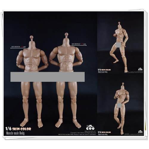 现货COO肌肉体型男素体1/6