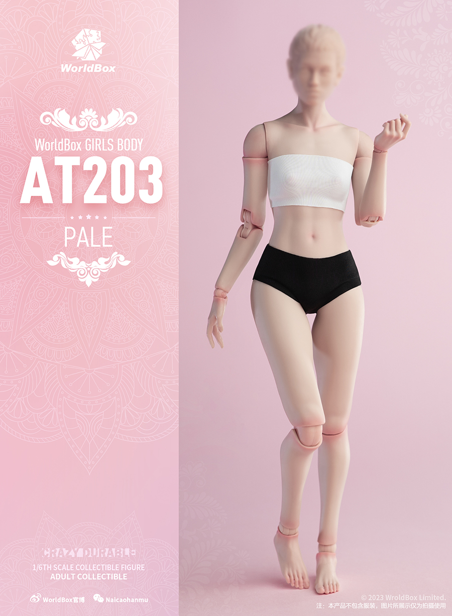 女素体WorldboxAT2031/6