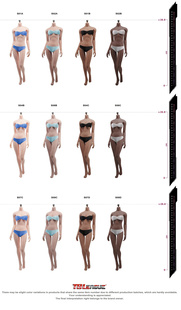 TBL PHICEN 1/6 无头包胶钢骨白肤色女素体01A 04B  S07C 10D