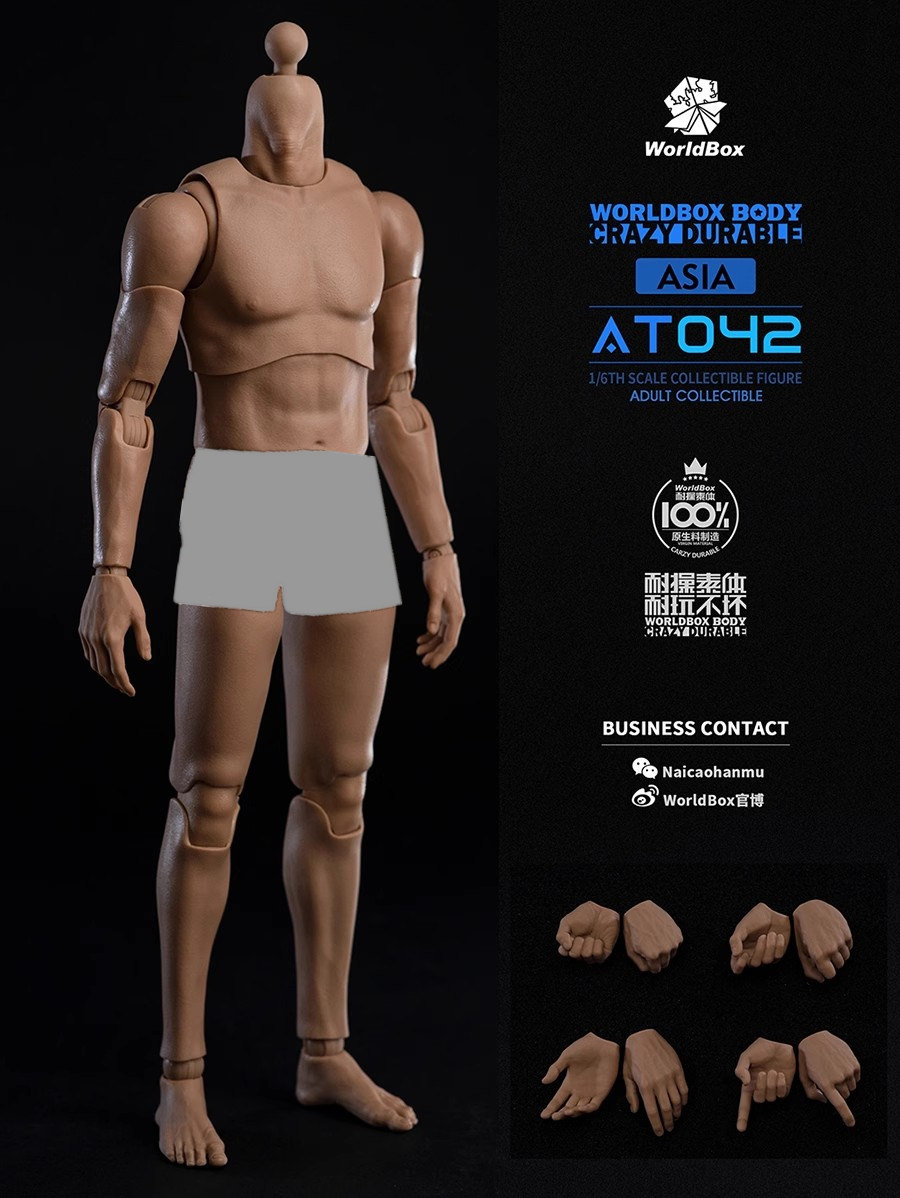现货  Worldbox 1/6比例 耐操素体 亚洲窄肩版男素体 AT042
